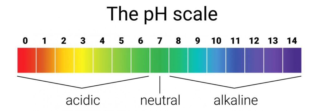 ph squilibrio acido base